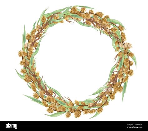 Watercolor Wreath Of Pussy Willow Twigs Spring Bouquet Easter Decorations Hand Drawn