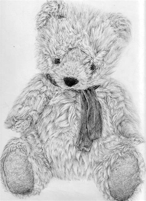 How To Draw A Realistic Teddy Bear