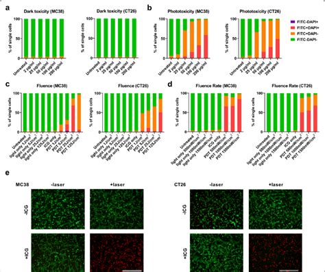 Icg Mediated Cancer Cell Neutralizing Effects In Vitro A Mc38 Cells