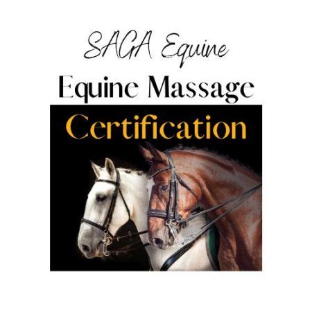 Equine Massage Professional Certification Course