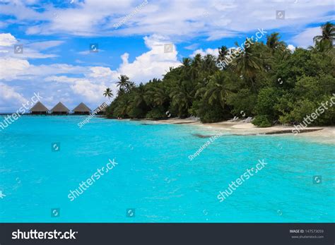 Tropical Paradise Beach Maldives Stock Photo 147573059 | Shutterstock