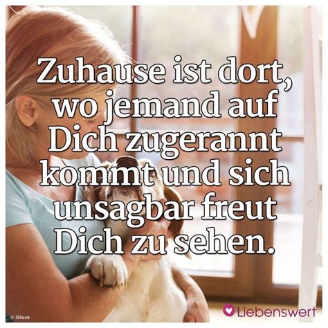 Spr Che F R Tierliebhaber Worte Der Inspiration Spr Che Weisheiten