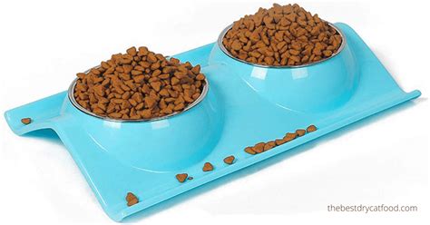 Best High Protein Dry Cat Food 2024 Reviews & Buyer Guide