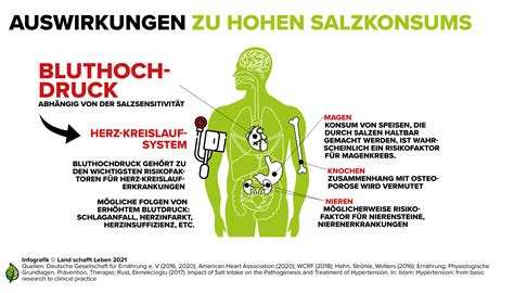 Gesundheitliche Wirkung Von Salz Land Schafft Leben