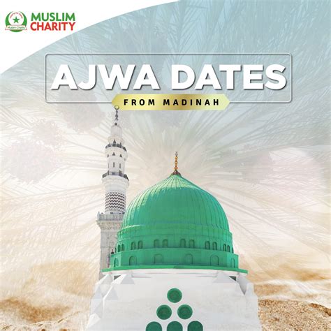 Buy Muslim Charity Ajwa Dates From Madinah Premium Quality Fiber Rich