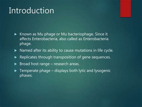 M13 and Mu Virus Structure and Life Cycle