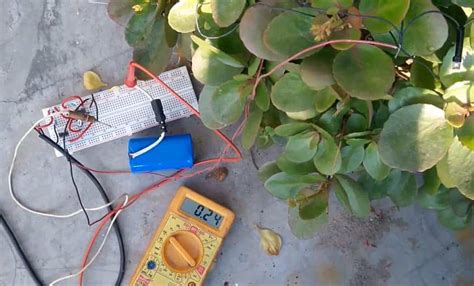 18 Diy Solar Light Circuit Ideas How To Make A Solar Light Circuit Solar Living Savvy