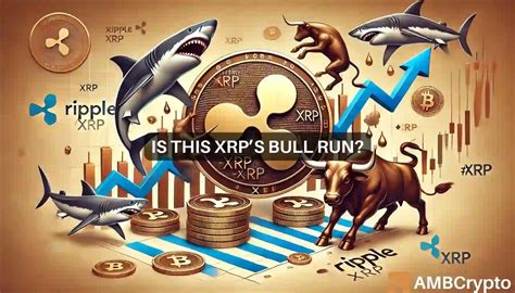 Will Xrp Reach How Whales Sharks Can Help The Altcoin Rally