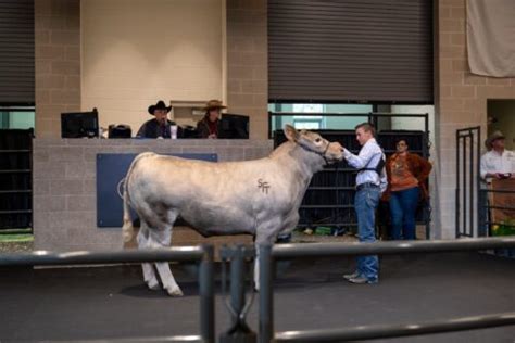 Agriculture and Livestock at the State Fair of Texas | State Fair of Texas