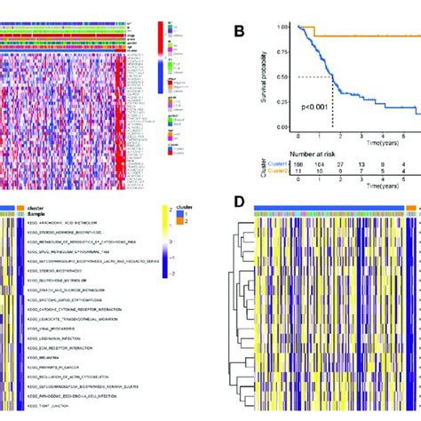 Co Expression Network Diagram Of The M A Modification Regulators And