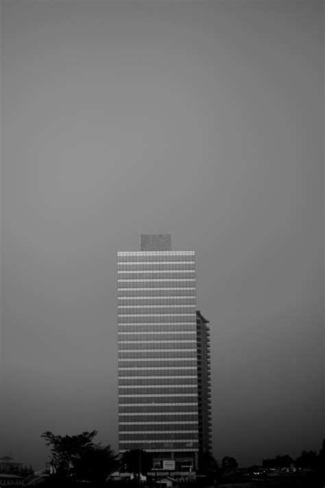 Pool near Skyscrapers in Tropical City LandscapeFree Stock Photo