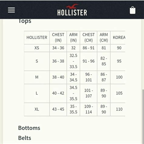 Hollister Size Guide