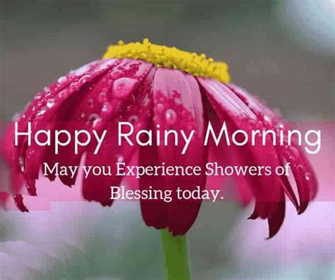 35 Perfect Good Morning Wishes For A Rainy Day 2024