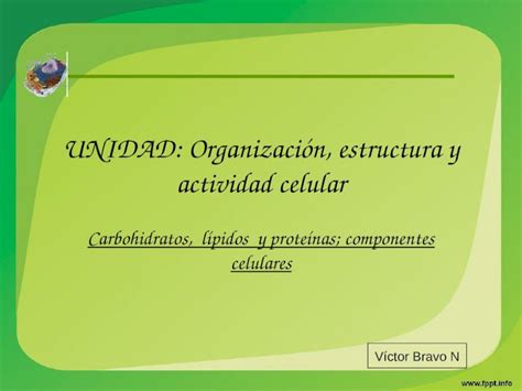 Ppt Unidad Organizaci N Estructura Y Actividad Celular