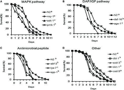 Survival Of Caenorhabditis Elegans Mutants Infected With