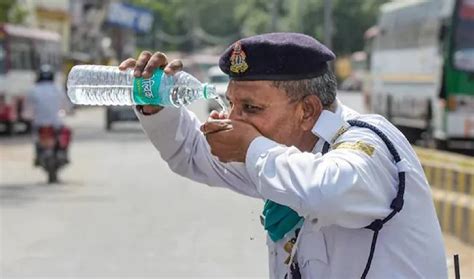 Delhi Sizzles At C Year S Highest Temperature So Far No Respite