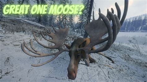 Hunter Call Of The Wild The Great One Moose YouTube