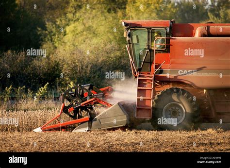 soybean field nebraska  res stock photography  images alamy