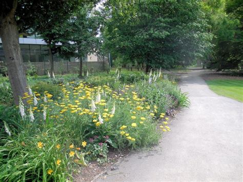 Flowers In Botanic Gardens Paul Gillett Cc By Sa Geograph