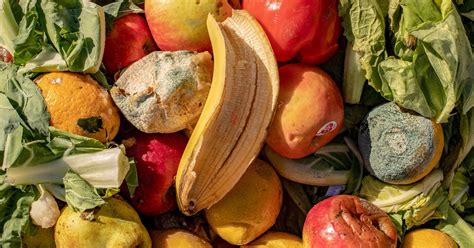 Hacks To Keep Your Fruits And Vegetables From Spoiling Financebuzz