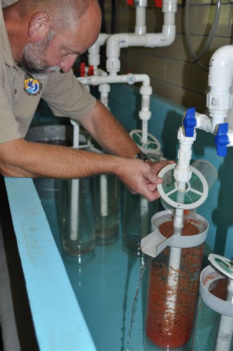 Trout egg hatching jars | FWS.gov