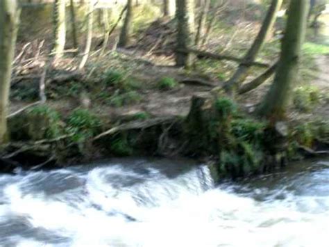 Stepping Stones At Egton Bridge YouTube