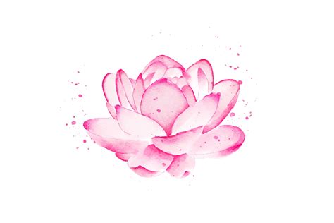 Watercolor Lotus Flower Drawing | Best Flower Site