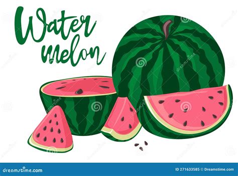 Watermelons Whole Half And Slices Green Striped Berry With Red Pulp