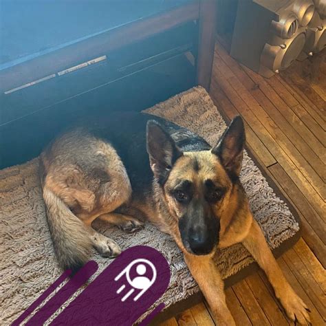 Short Prayer A Guide To Heartfelt Prayers For Family | Strengthen Your