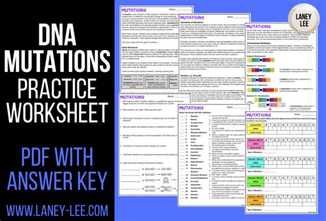 Dna Mutations Practice Worksheet With Answer Key Laney Lee