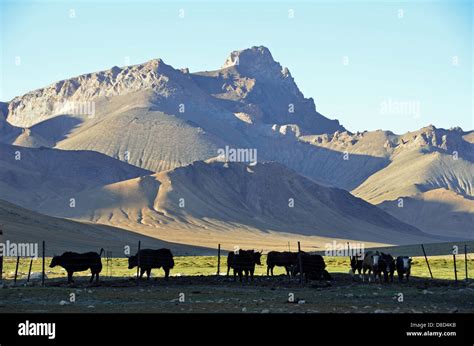 Pamir Plateau Hi Res Stock Photography And Images Alamy