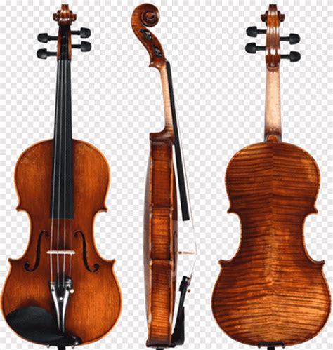 Violin Amati Stradivarius Musical Instruments String Instruments