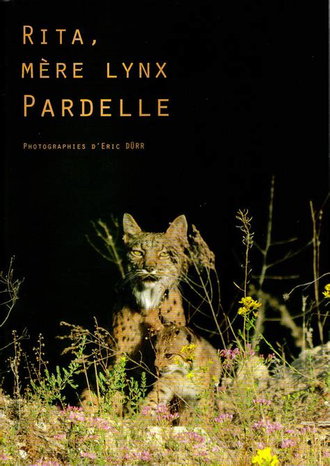 Eric D Rr Photographie Catalogue De L Exposition Rita M Re Lynx Parelle