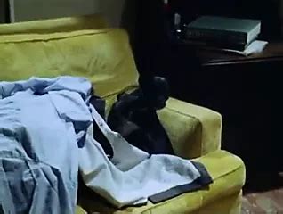 La Cugina 1974 Celebrity Brunette Porn XHamster