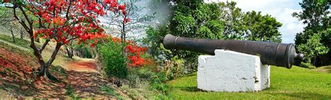 HEALTH PROFILE SAINT LUCIA