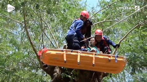 Video Heroik Aksi Damkar Selamatkan Warga Tersangkut Di Pohon