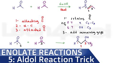 Aldol Reaction Shortcut for Aldol Additon and Condensation Reactions