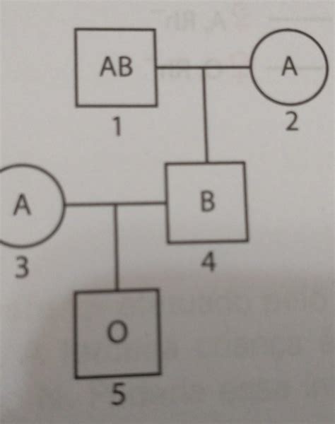 Considere O Heredograma Abaixo No Qual Os Indivíduos Librain