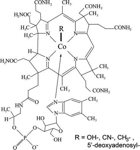 Cobalamin Structure