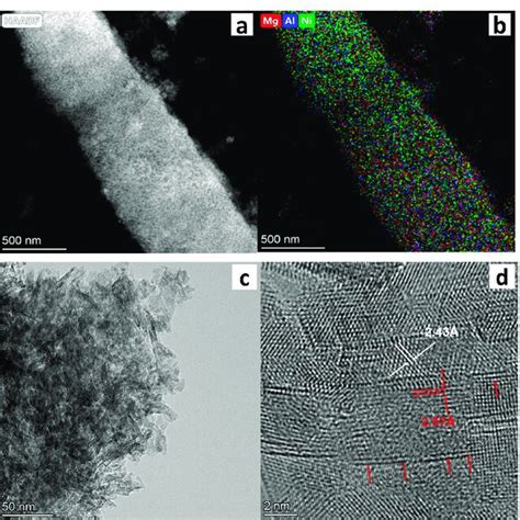 Haadf Stem A Edx Elemental Mapping B And Hrtem Images C D Of Ni