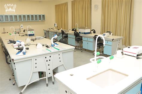 Physical Therapy Labs Msa University