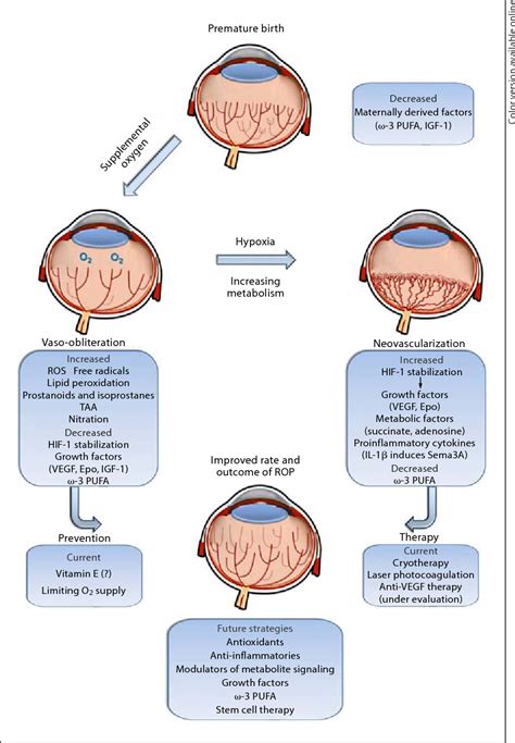 Figure 4 From Understanding Retinopathy Of Prematurity Update On Pathogenesis Semantic Scholar