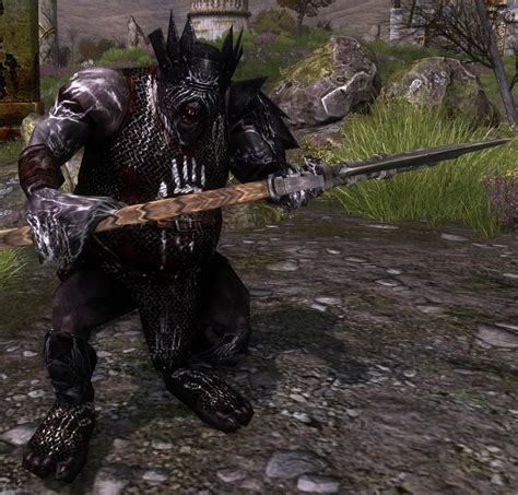 White Hand Warrior Swanfleet Lotro Wiki