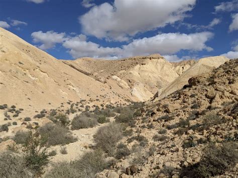 Desert and Landscape in Israel Stock Image - Image of rock, nature ...