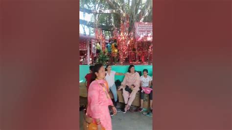 मन ले के आया माता रानी के भवन मेंसंतला माता मंदिर जनतनवालादेहरादूनsantala Mata Mandir