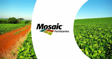 Mosaic Fertilizantes Ingressa No Mercado De Insumos Para Produ O