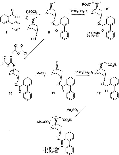 Synthesis Of 9a 9b 13a And 13b Download Scientific Diagram