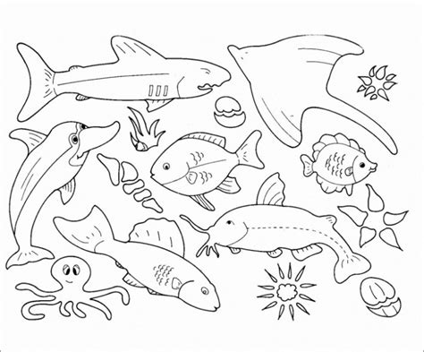 Ocean Animals Coloring Pages - ColoringBay