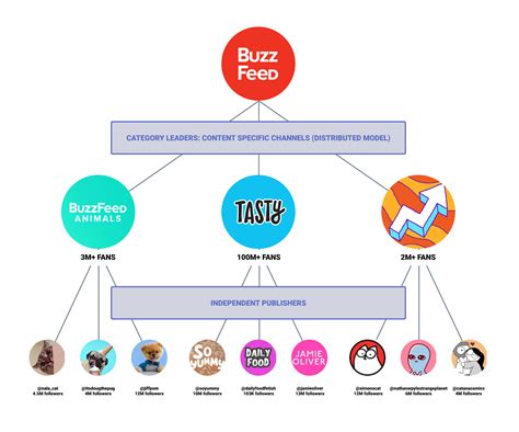 Shopify and The Creator Economy | Dovetale Blog