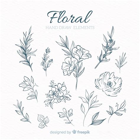 Elementos Decorativos Florales Dibujados A Mano Vector Gratis